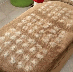 מסיר שיערות