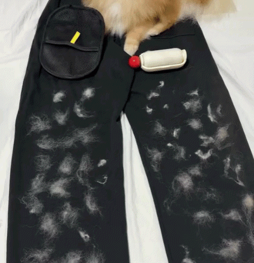 מסיר שיערות